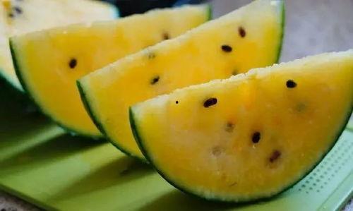 甘肃哪里可以吃瓜,探寻甘肃各地美味瓜果之旅