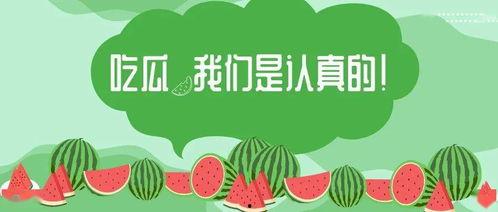 吃瓜村的故事,揭秘乡村奇闻轶事