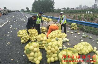 昌吉吃瓜群众,揭秘当地生活百态