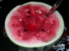 非职业吃瓜,揭秘非职业吃瓜群众的欢乐世界