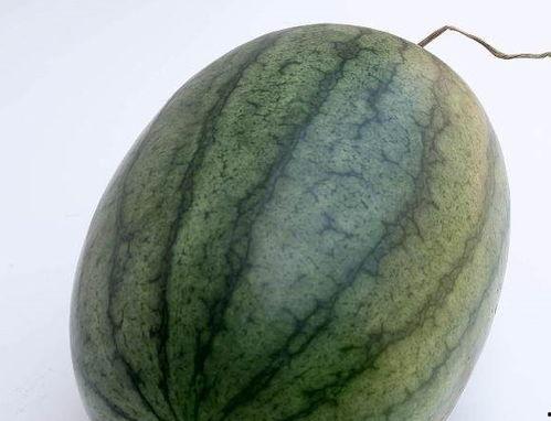 空腹可以吃小瓜,健康美味两不误的饮食选择