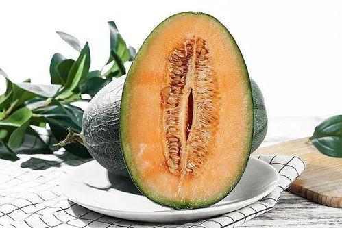 吃哈密瓜季节,甜蜜滋味尽享时光