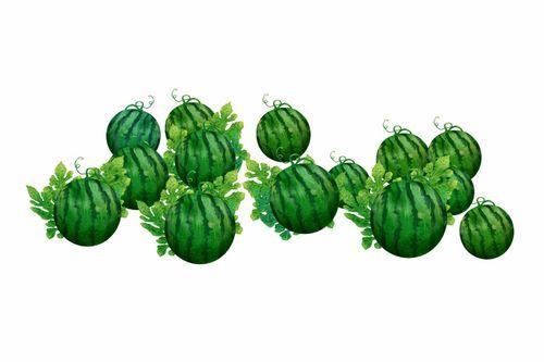 阿宸吃瓜,揭秘娱乐圈那些不为人知的幕后故事