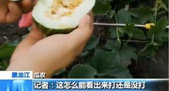 临沂吃瓜曝光,揭秘背后真相与网络舆论风暴