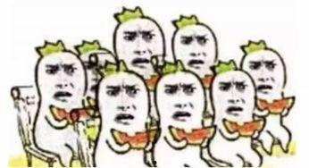 吃瓜太爽了,吃瓜太爽了，明星幕后故事大揭秘