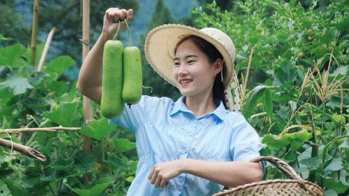 梦见弟媳摘瓜给我吃,弟媳摘瓜的温馨启示