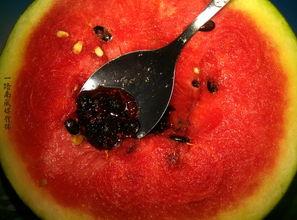 带你吃瓜奇葩产品,盘点那些让人惊掉下巴的“带你吃瓜”奇葩产品