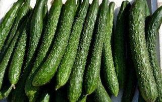 吃烧瓜减肥吗,揭秘吃烧瓜的瘦身秘密”