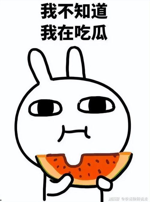 吃瓜圆圈圈,网络热议背后的真相与趣味