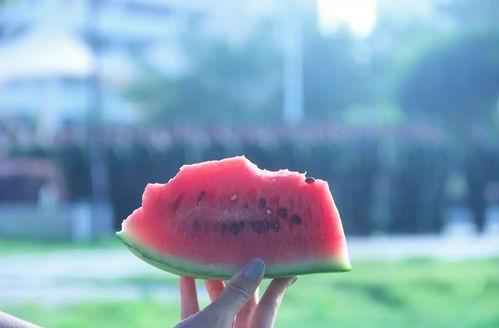 安静吃瓜不好吗,何乐而不为？