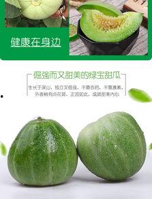 绿宝脆瓜怎么吃,绿宝脆瓜的多彩食法探索