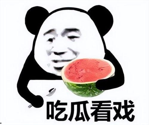 吃瓜熊猫人up,揭秘娱乐圈幕后故事