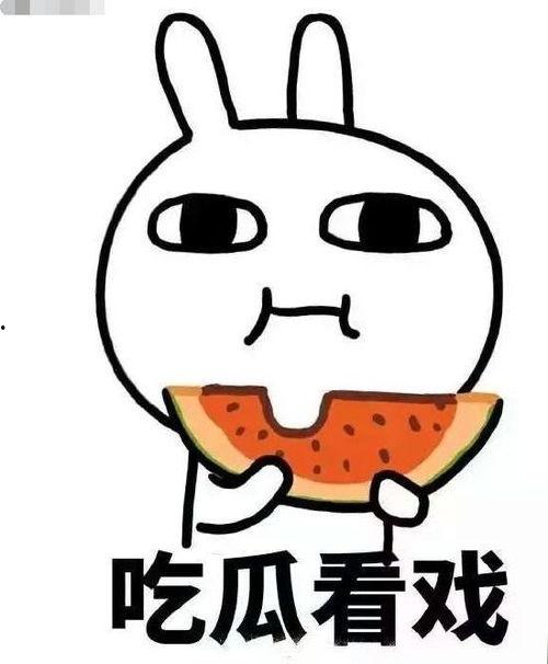 吃瓜雷雷,揭秘娱乐圈背后的那些事儿