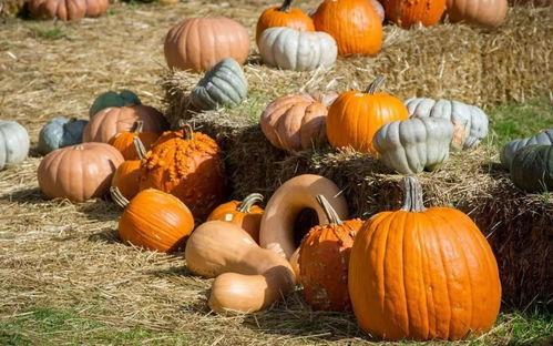 安岳民国吃瓜看戏,安岳吃瓜看戏，一窥民间百态