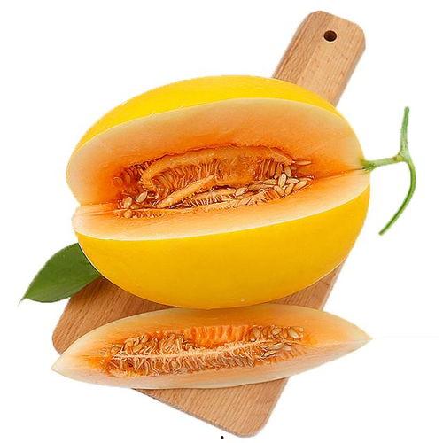 吃头孢可以吃蜜瓜嘛,安全食用的注意事项