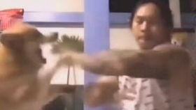 吃瓜少女vlog怎么用