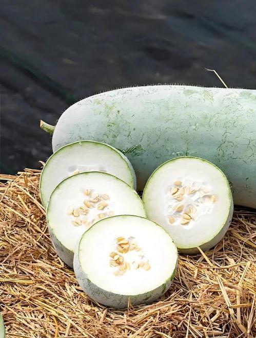 冬天可以吃瓜,冬季瓜果盛宴