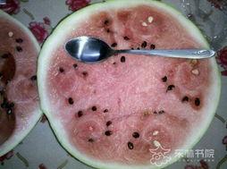 朝塘吃瓜,揭秘吃瓜群众的狂欢盛宴