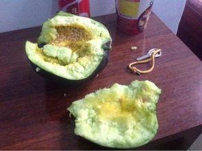 吃瓜找瓤,揭秘瓜果挑选与食用之道