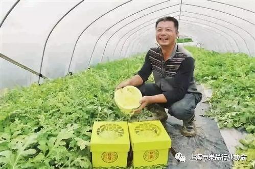 上海确诊 吃瓜,吃瓜群众热议疫情动态