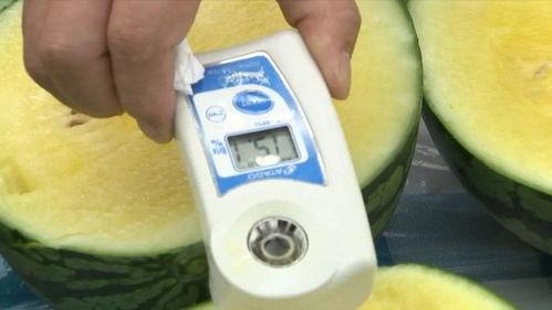 上海确诊 吃瓜,吃瓜群众热议疫情动态