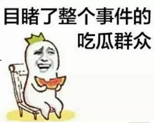 龙岛吃瓜群众,揭秘网络热点的幕后故事