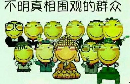 龙岛吃瓜群众,揭秘网络热点的幕后故事