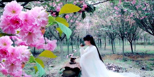 藤萝青衫和吃瓜亭,吃瓜亭中话古今