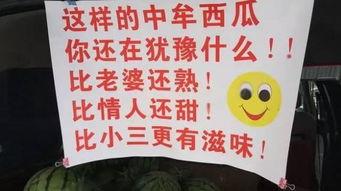 吃瓜搞笑标语图片,揭秘搞笑标语背后的趣味与智慧
