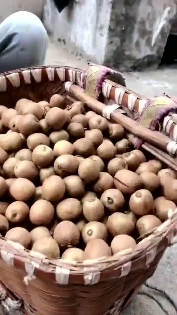 野生干饭带你吃瓜,野生干饭带你领略美食与娱乐的跨界之旅