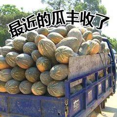 高冷吃瓜,揭秘娱乐圈的冰山一角