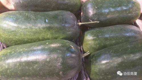 冬天如何吃籽瓜,冬季养生籽瓜食谱精选