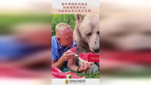 狗熊吃瓜吗,揭秘它们吃瓜的秘密