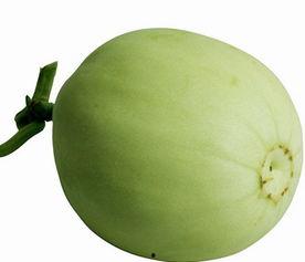 梨瓜种子可以吃吗,可食用之谜揭秘