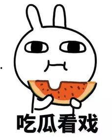 见过仙女吗 吃瓜,揭秘我眼中的仙女之谜与吃瓜趣事