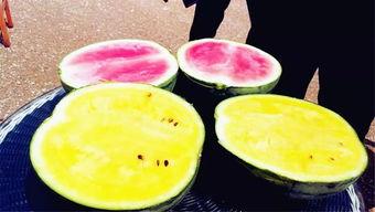 吃瓜匿名区,网络舆论场中的“瓜田”众生相