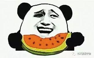 吃瓜不忘种瓜人吃瓜群众