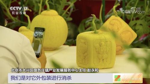 吃瓜比赛全过程,吃瓜比赛全程精彩回顾