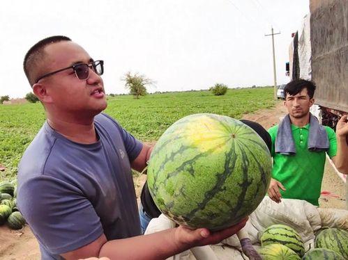 常旭吃瓜,揭秘娱乐圈幕后故事