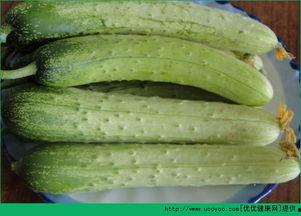 小瓜白菜怎么吃