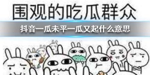 抖音瓜弟吃瓜群是真的吗,真相与谣言的交织