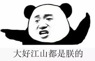 成都吃瓜群众群,揭秘城市生活百态