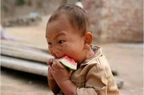 吃瓜宝宝是情侣,吃瓜宝宝甜蜜情侣日常大揭秘