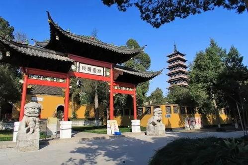 大明寺吃瓜,一场别开生面的吃瓜盛宴