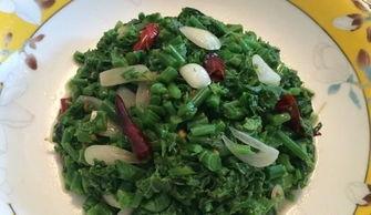 炒瓜尖肝癌可以吃吗,适宜与否揭秘