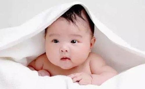 宝宝一瓜两吃,宝宝营养新主张