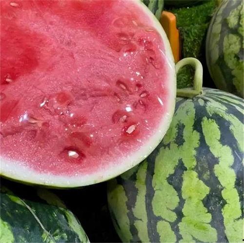 老外吃麒麟瓜好吗,新奇体验与美味分享