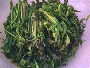 蒿瓜是什么季节吃