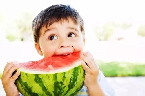 短篇吃瓜,揭秘短篇吃瓜背后的故事