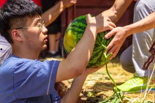 长官吃瓜,揭秘官场背后的趣味与真相